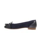 082 481 PCL Azul3_1-3